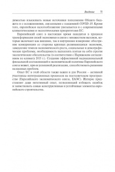 Елена Сидорова: Фискальная интеграция в Европейском союзе