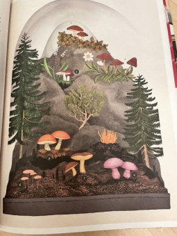 Гайя, Прескотт, Ли: Грибы