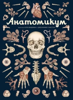 Дженнифер Пакстон: Анатомикум