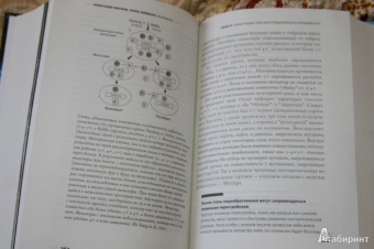 Марков, Наймарк: Эволюция. Классические идеи в свете новых открытий