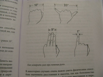 Тристан Гули: Компас внутри. Как не заблудиться в лесу, выследить животных, предсказать погоду
