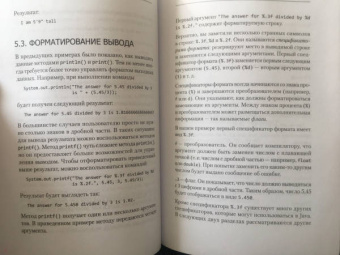 Джейми Чан: Java. Быстрый старт