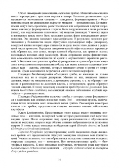 Зейрук, Гаспарян, Белов: Болезни, вредители и сорные растения картофеля. Учебное пособие для СПО