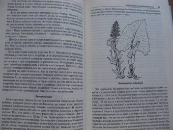 Наталия Замятина: Кухня Робинзона. Рецепты блюд из дикорастущих и декоративных растений