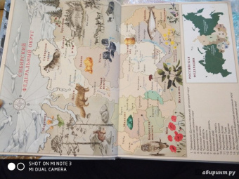 Елена Жданова: Сказки сибирских деревень