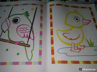 Первые птички. Книжка-раскраска