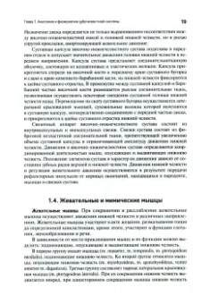 Сухарев, Фищев, Рожкова: Ортопедическая стоматология. Протезирование несъёмными конструкциями зубных протезов. Учебник