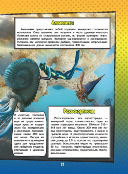 Ликсо, Кошевар: О подводном мире