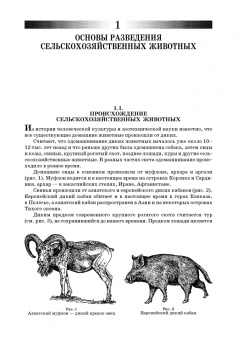 Основы технологии производства и первичной обработки продукции животноводства
