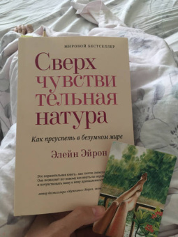 Элейн Эйрон: Сверхчувствительная натура. Как преуспеть в безумном мире