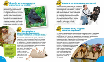Тамара Скиба: Книга-подарок для маленьких почемучек