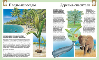 Детская энциклопедия. 250 чудес света