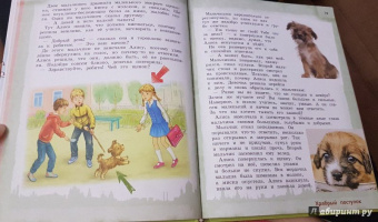 Ася Серебренко: Конституция для детей