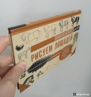 Рисуем лошадей. Альбом для скетчинга