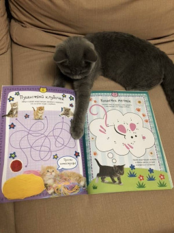 Мой милый котенок