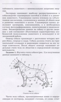 Семенченко, Дегтярь: Служебное собаководство. Практикум. Учебное пособие