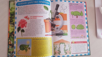 Растительный мир России. Популярная детская энциклопедия