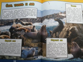 Ликсо, Кошевар: О подводном мире