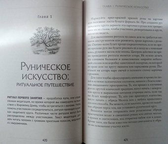 Диана Паксон: Руническое искусство. Путеводитель по использованию рун в заклинаниях, ритуалах и гадании
