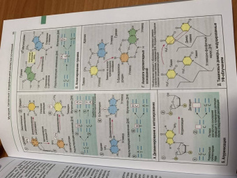Эберхард Пассарг: Наглядная генетика