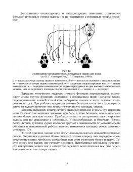 Анатолий Суворов: Основы полевых наблюдений. Полевое следопытство. Учебник для ВУЗов