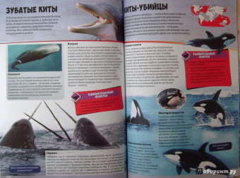 Большая книга животного мира
