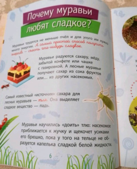 Анна Булгакова: Насекомые