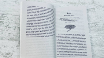 Энни Пру: Корабельные новости