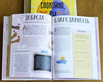 Тина Рэй: Я не ОК и это ОК. Гид по хорошему настроению, ментальному здоровью и заботе о себе