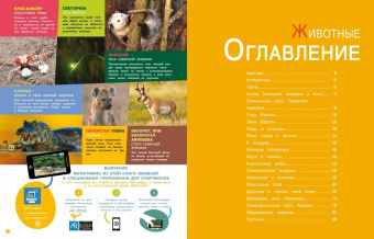Животные