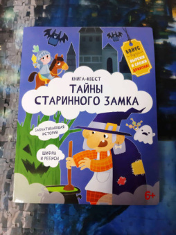 Анастасия Шепелевич: Книга-квест. Тайна старинного замка