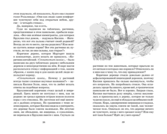 Корнелия Функе, Тамми Хартунг: Тайны Зелёного королевства