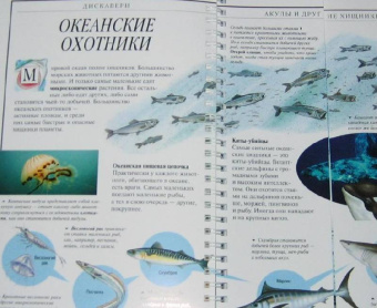 Джон Вудвард: Дискавери:  Акулы и другие хищники