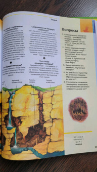 Новая энциклопедия школьника
