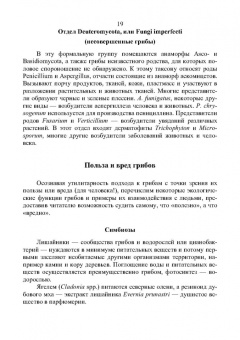 Владимир Захарычев: Грибы и фунгициды. Учебное пособие для вузов