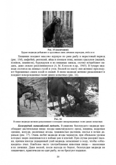 Анатолий Суворов: Основы полевых наблюдений. Следы жизнедеятельности зверей и птиц. Учебник для СПО