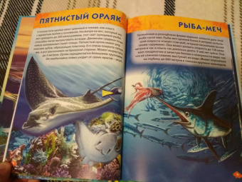 Первая энциклопедия дошкольника. Подводный мир