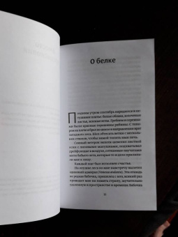 Роберт Пуцек: Семнадцать животных