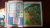 Развиваем память и внимание