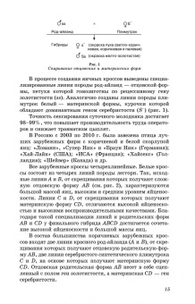Бессарабов, Крыканов, Могильда: Технология производства яиц и мяса птицы на промышленной основе. Учебное пособие
