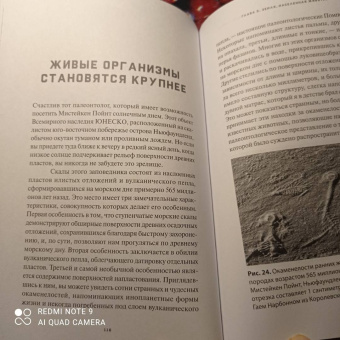Эндрю Нолл: Краткая история Земли. Четыре миллиарда лет в восьми главах