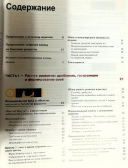 Барреси, Гилберт: Биология развития
