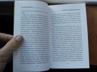 Франсуа-Мари Вольтер: Эстетика