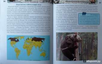 Ярослава Соколова: Хочу знать. Медведи