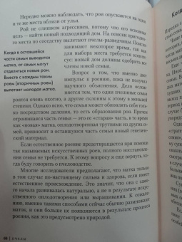 Фридрих Хайнбух: Пчелы. Что человек и пчела значат друг для друга