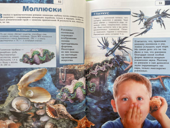 Вайткене, Ликсо, Закотина: Подводный мир