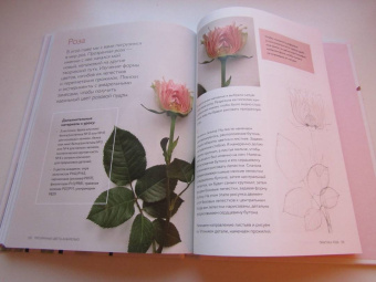 Ирина Толчина: Прозрачные цветы акварелью. Рисуем в технике "рентген"