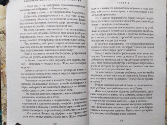 Гаврилова, Недотрога: Любимая адептка его величества. Книга 2