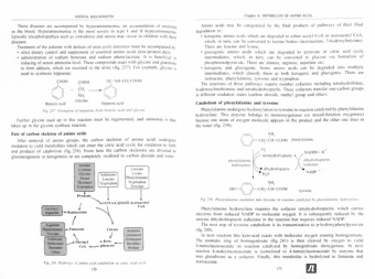 Давыдов, Вавилова, Шестопалов: Medical Biochemistry. Учебник на английском языке