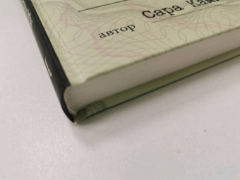 Сара Камински: Адольфо Камински, фальсификатор